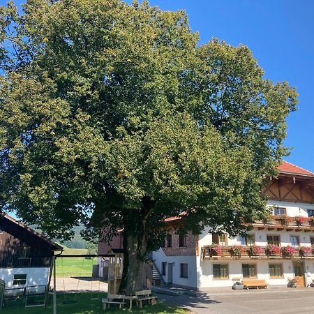 Appartamento Biohof-Feichtinger Zell am Moos Esterno foto