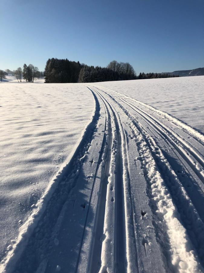 Appartamento Biohof-Feichtinger Zell am Moos Esterno foto