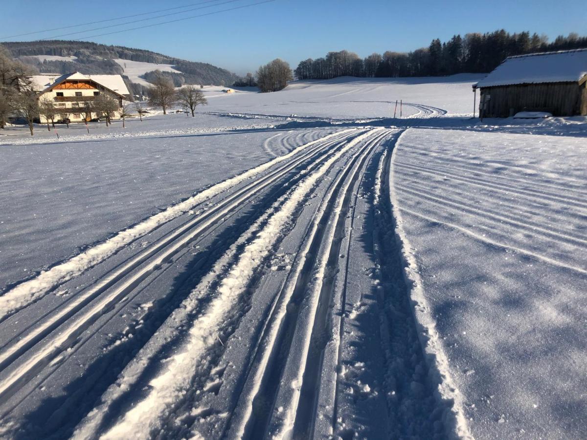 Appartamento Biohof-Feichtinger Zell am Moos Esterno foto