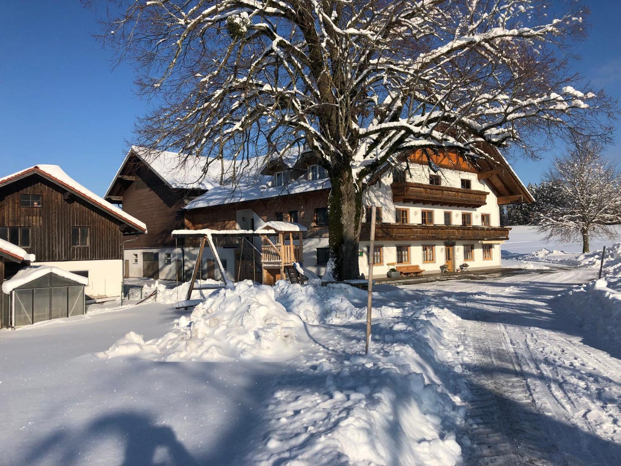 Appartamento Biohof-Feichtinger Zell am Moos Esterno foto