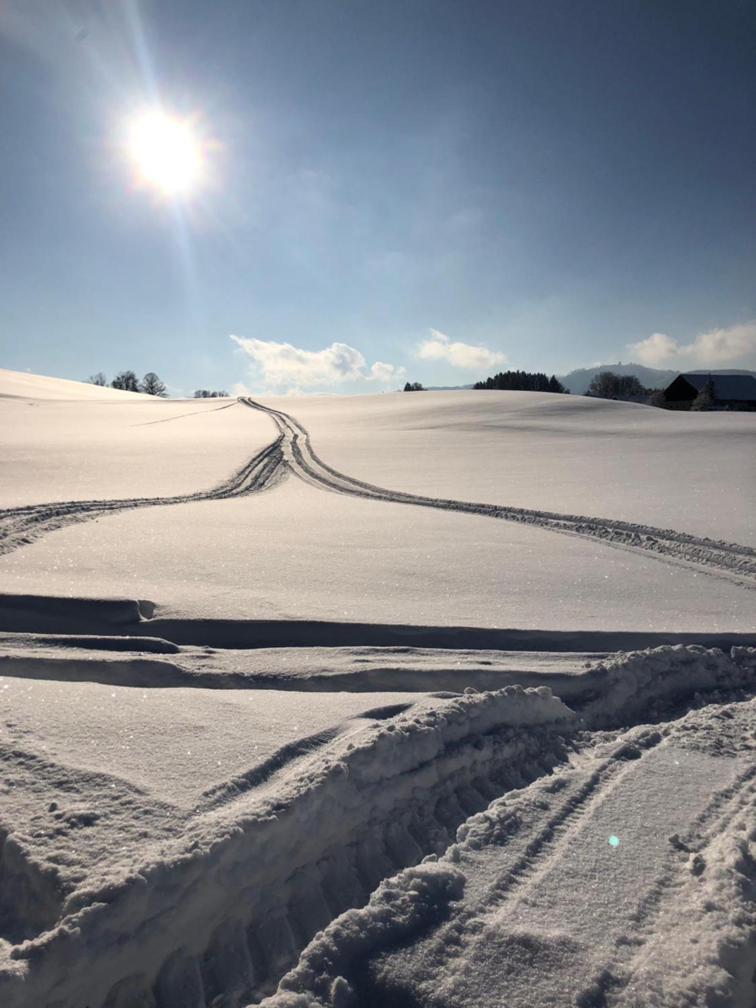 Appartamento Biohof-Feichtinger Zell am Moos Esterno foto