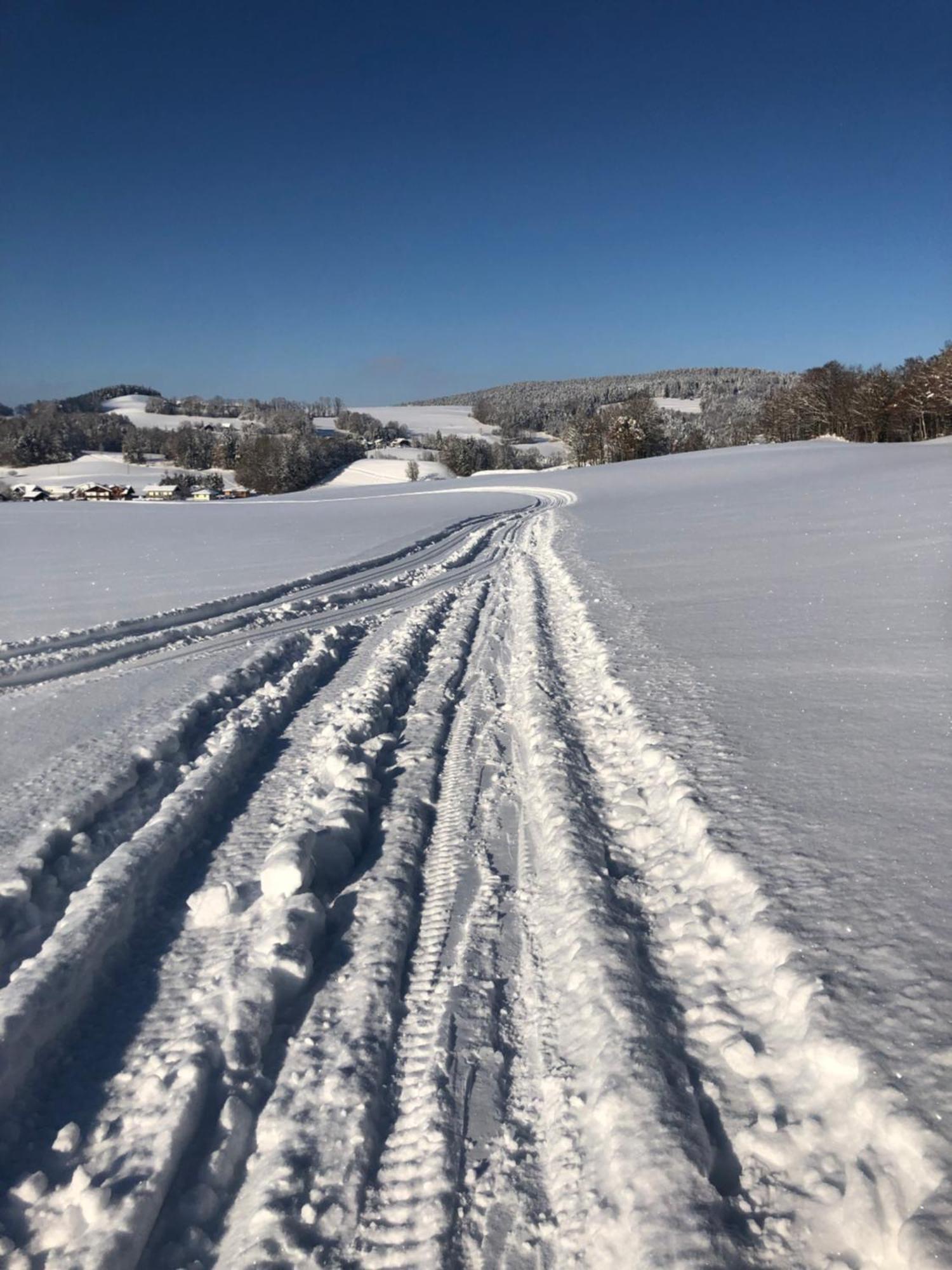 Appartamento Biohof-Feichtinger Zell am Moos Esterno foto