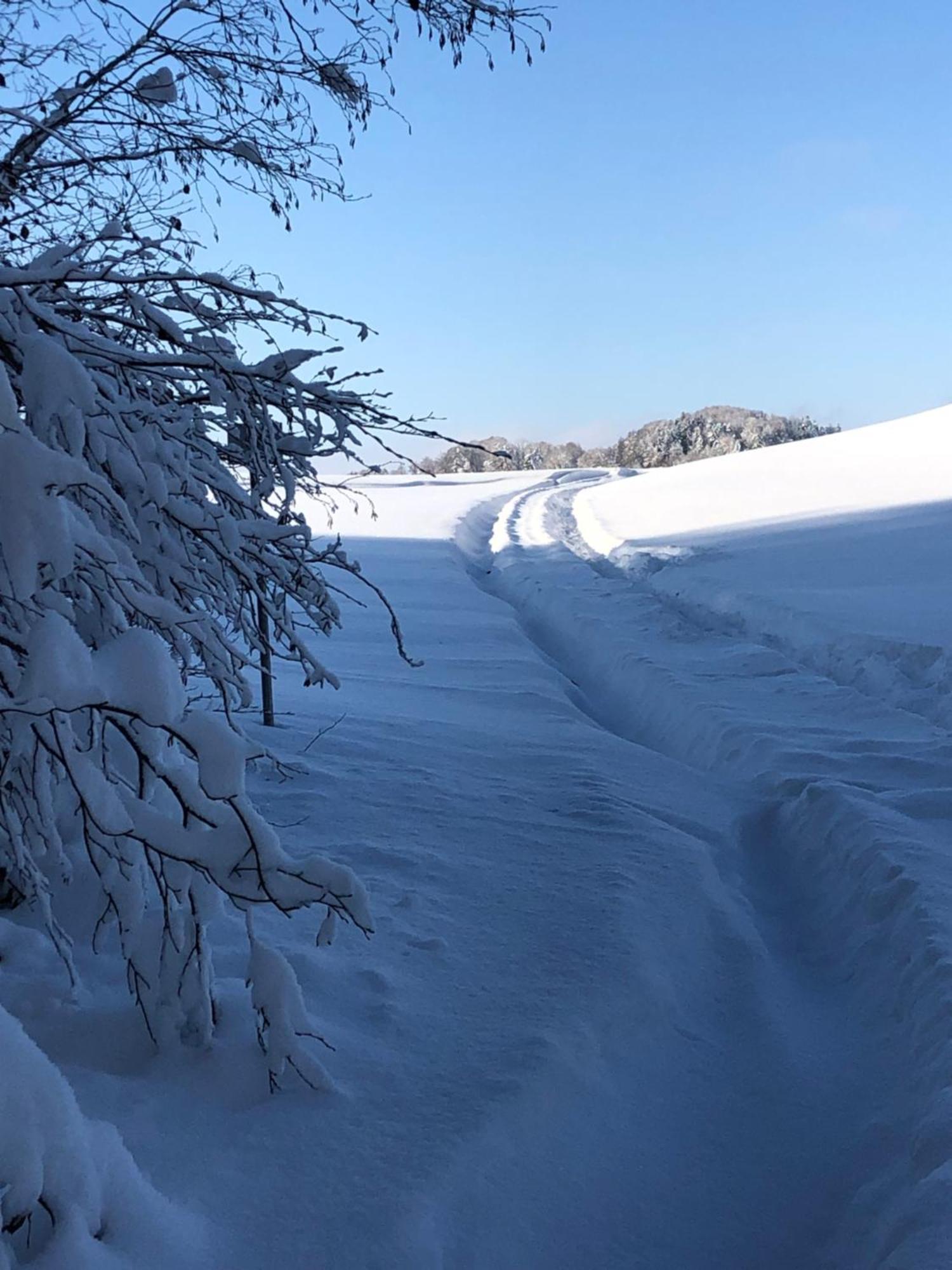 Appartamento Biohof-Feichtinger Zell am Moos Esterno foto