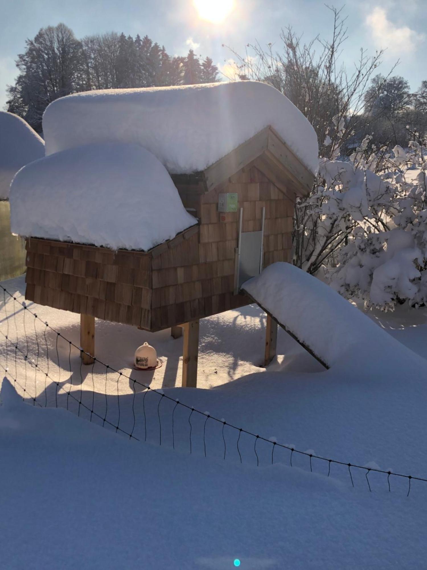Appartamento Biohof-Feichtinger Zell am Moos Esterno foto