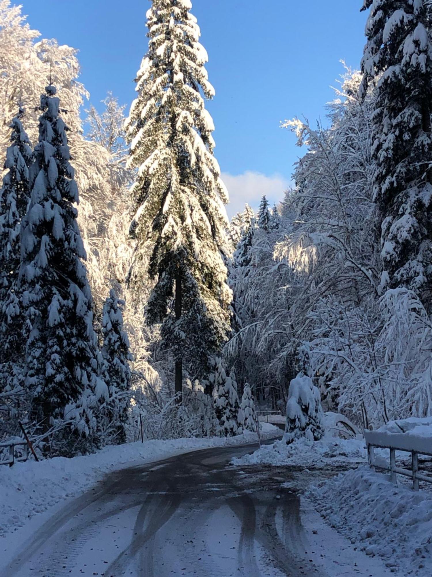 Appartamento Biohof-Feichtinger Zell am Moos Esterno foto