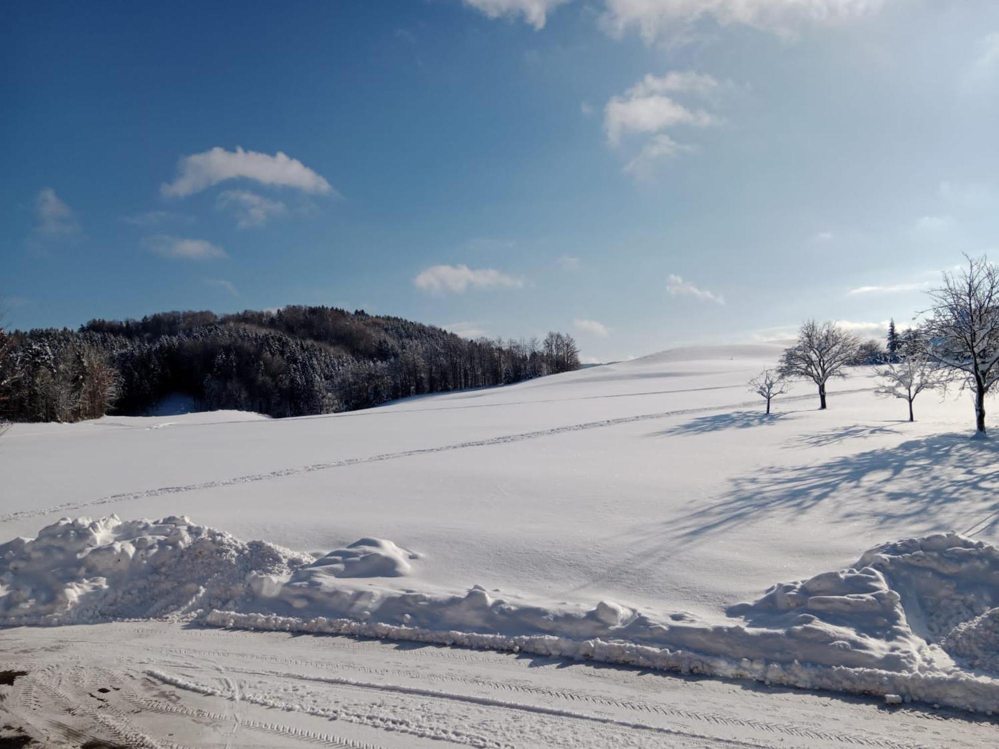 Appartamento Biohof-Feichtinger Zell am Moos Esterno foto