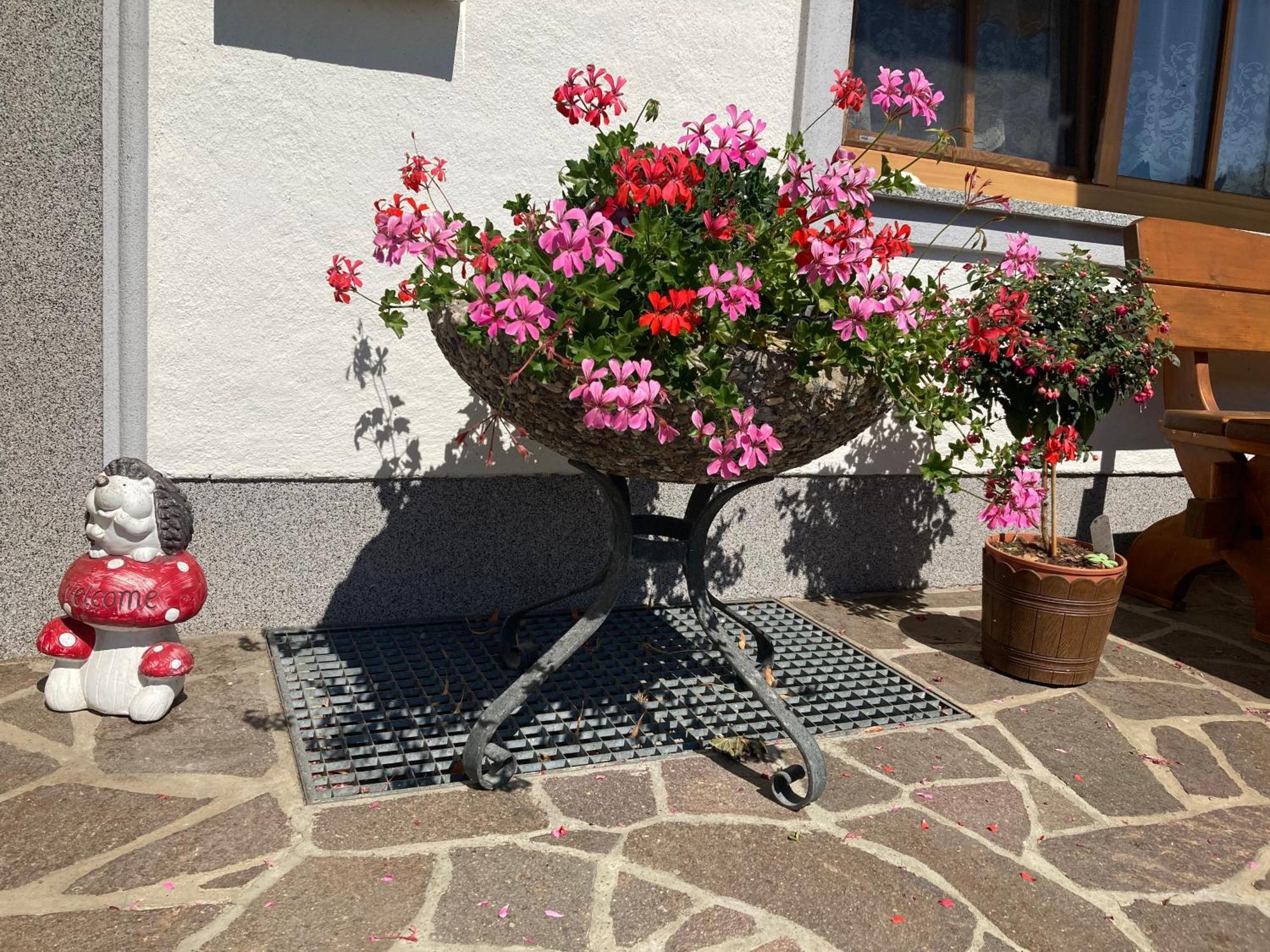 Appartamento Biohof-Feichtinger Zell am Moos Esterno foto